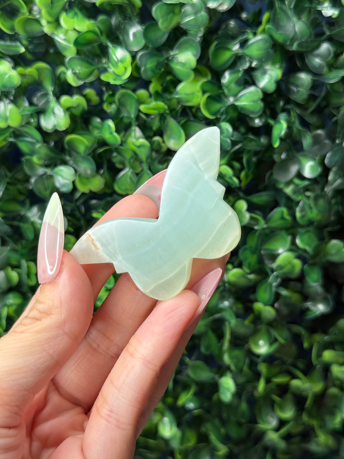 Caribbean Calcite Mini Butterfly Crystal Carvings - Pakistan