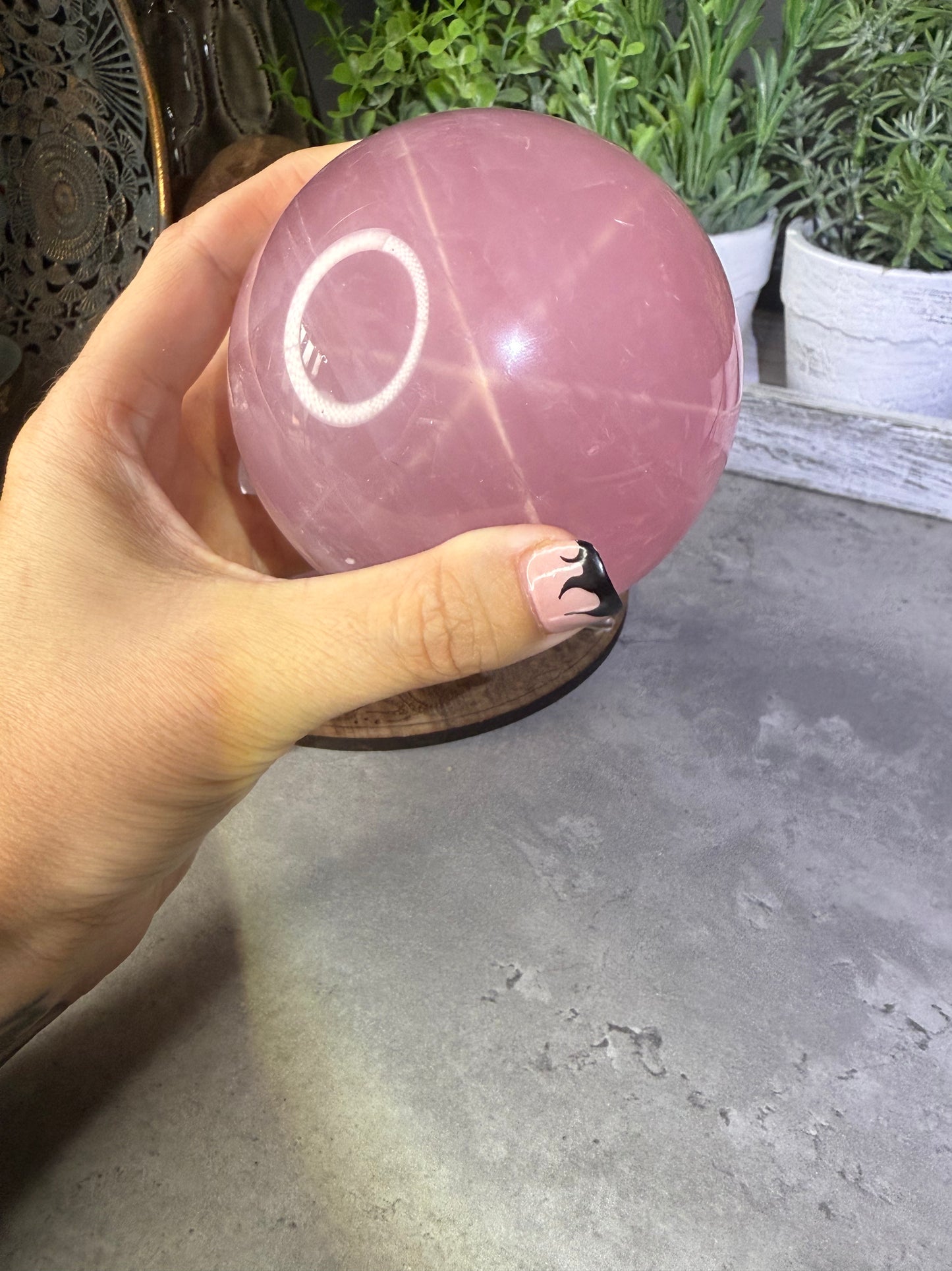 Starlight Rose Quartz Crystal Spheres Six Star Asterism