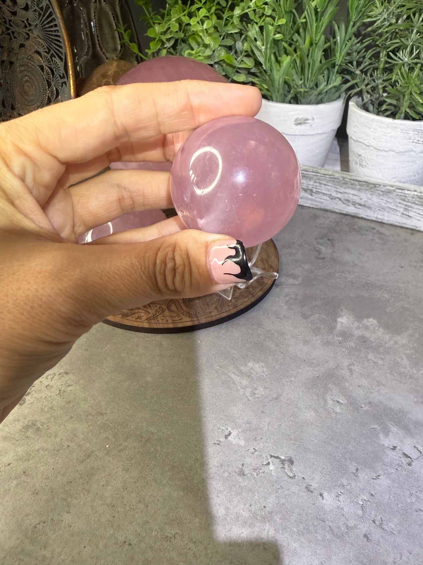 Starlight Rose Quartz Crystal Spheres Six Star Asterism