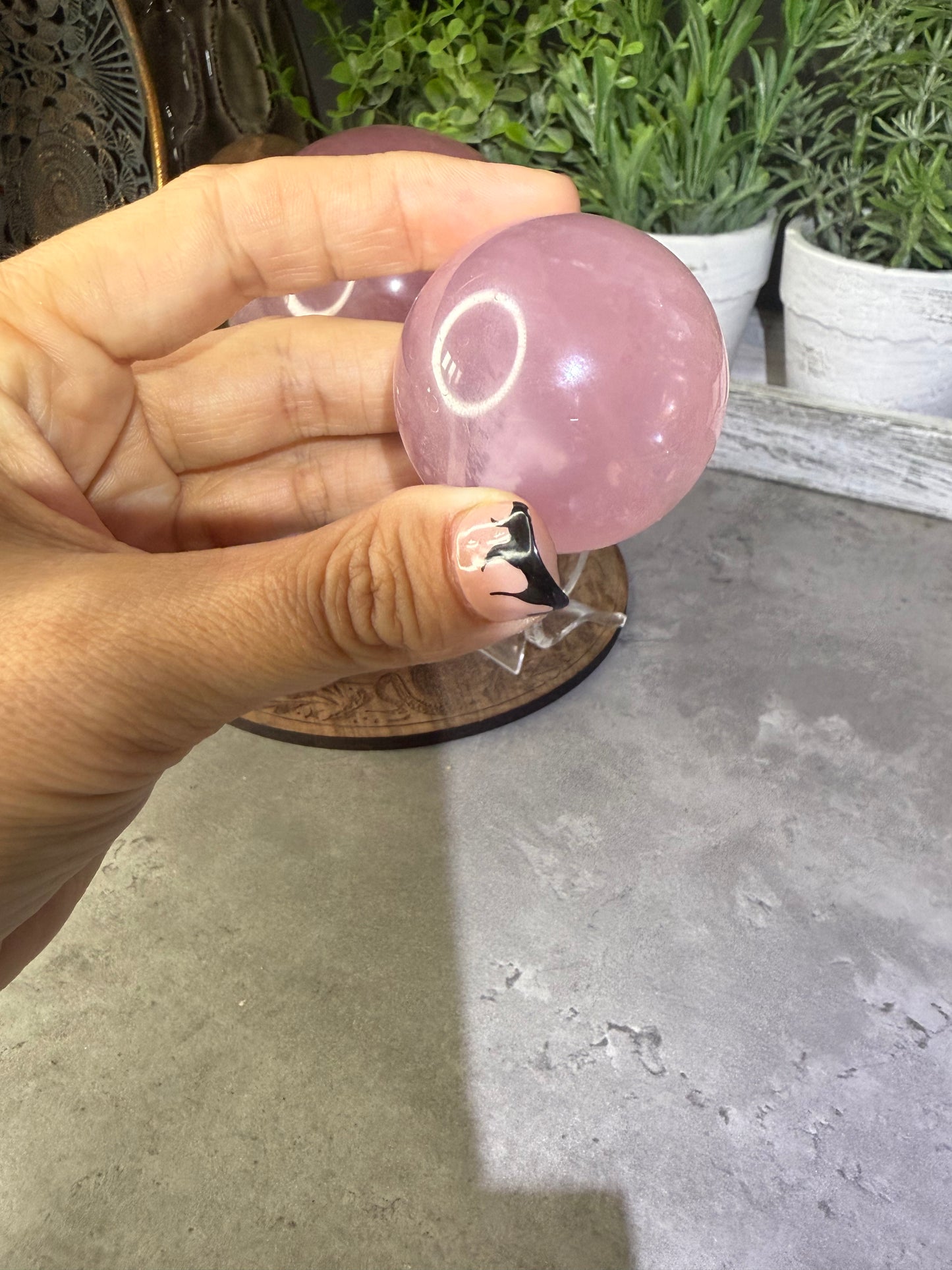 Starlight Rose Quartz Crystal Spheres Six Star Asterism