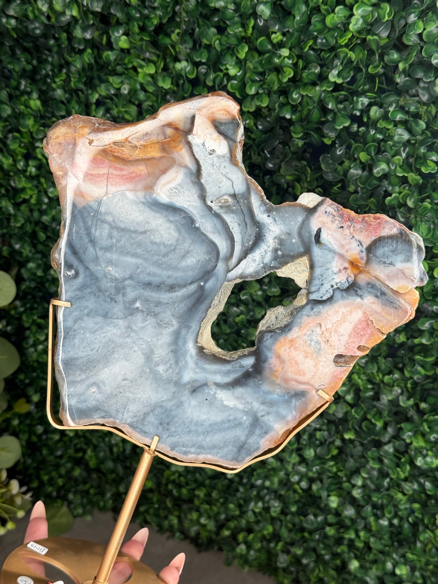XL Pink & Blue Petrified Wood Slab With Custom Stand