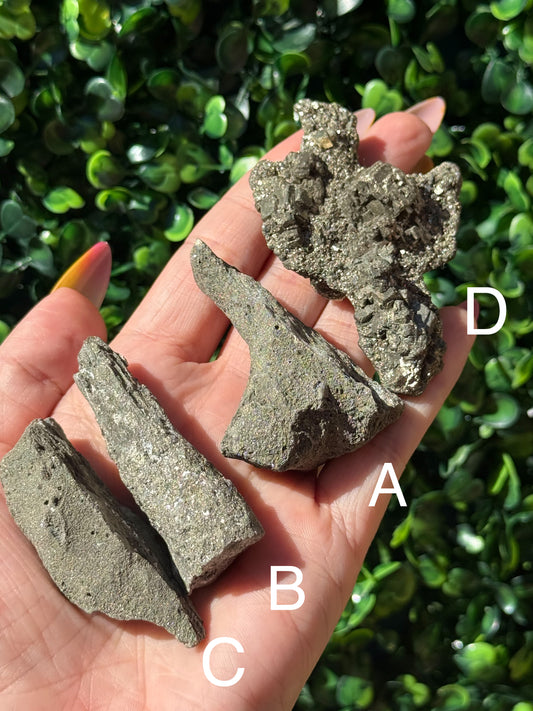 Pyritized Petrified Wood - Indonesia