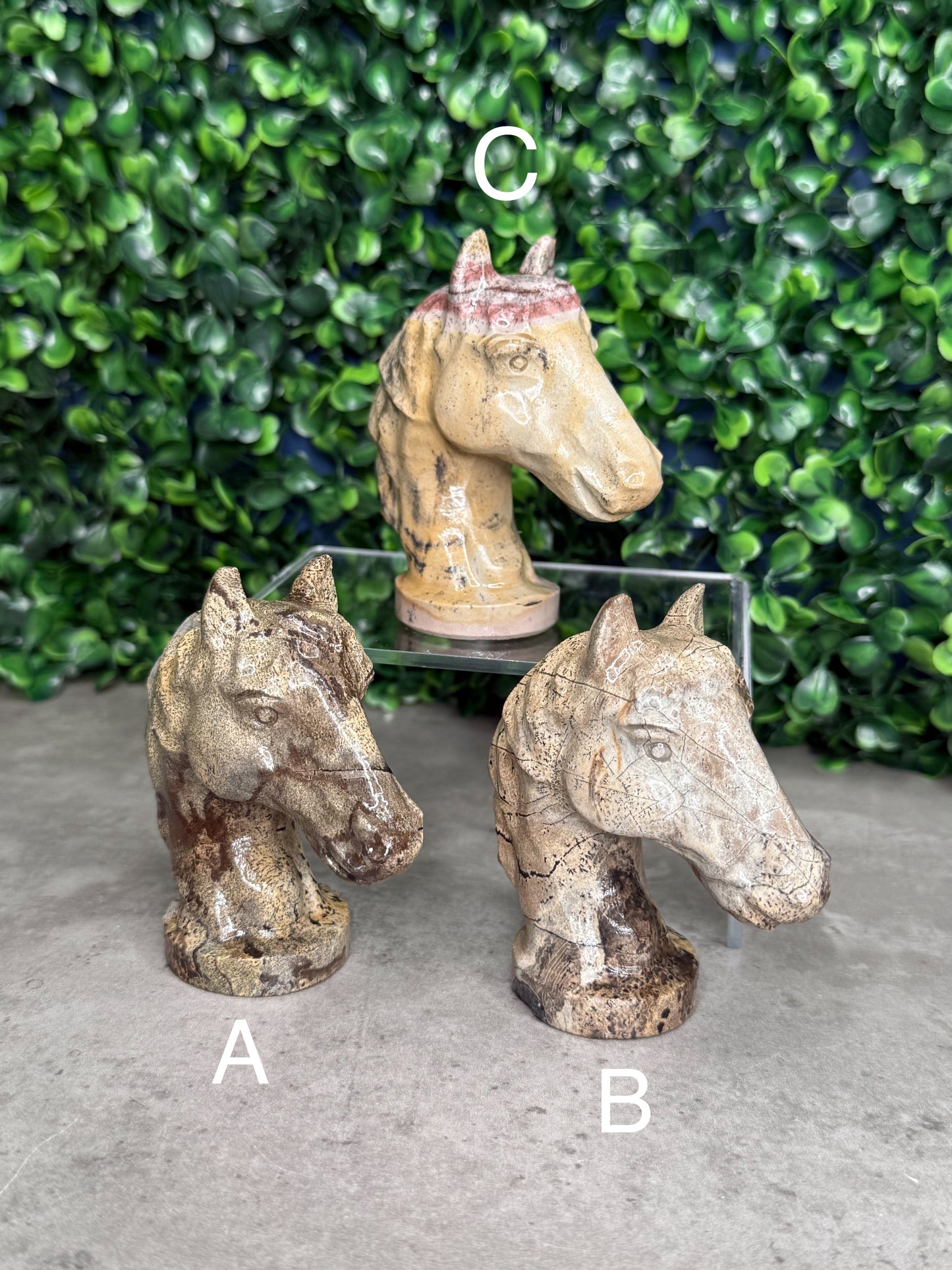 Picture Jasper Horse Head Bust Crystal Carvings