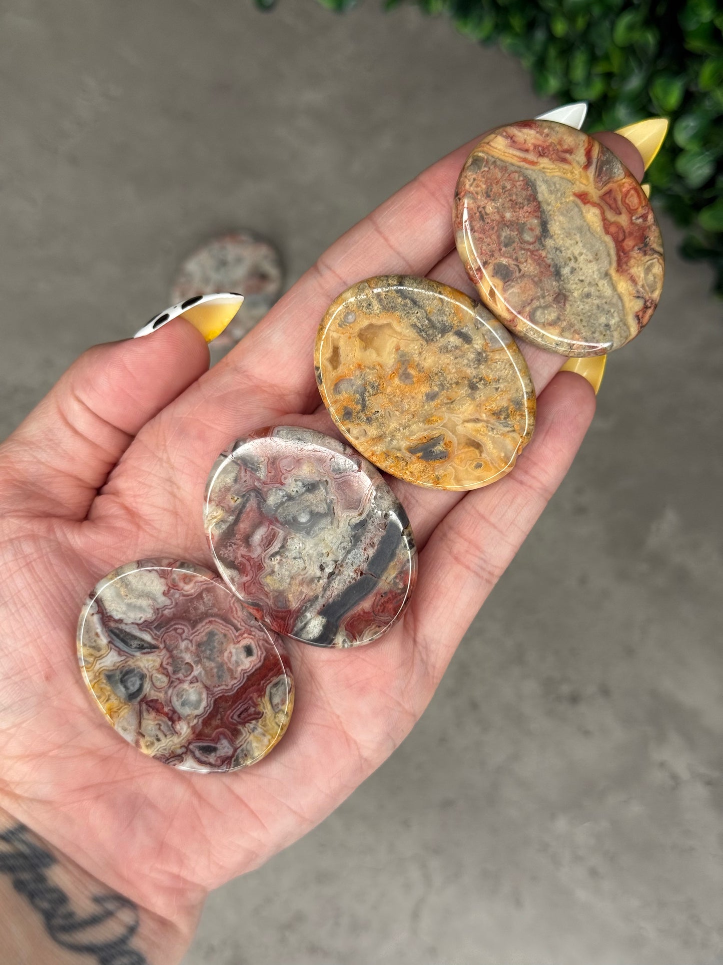 Crazy Lace Agate Flat Palmstones