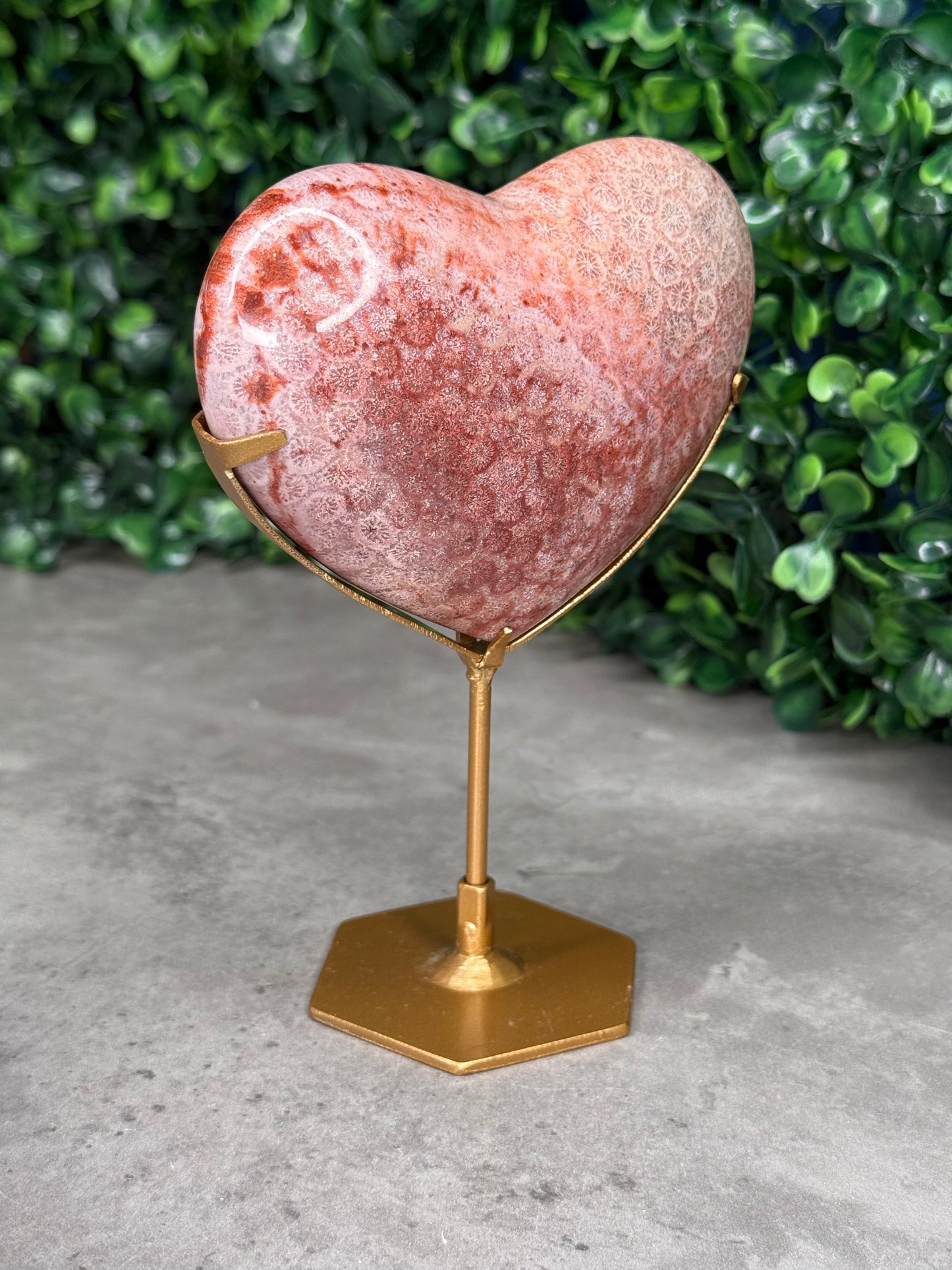 Pink Fossil Coral Crystal Heart - Indonesia