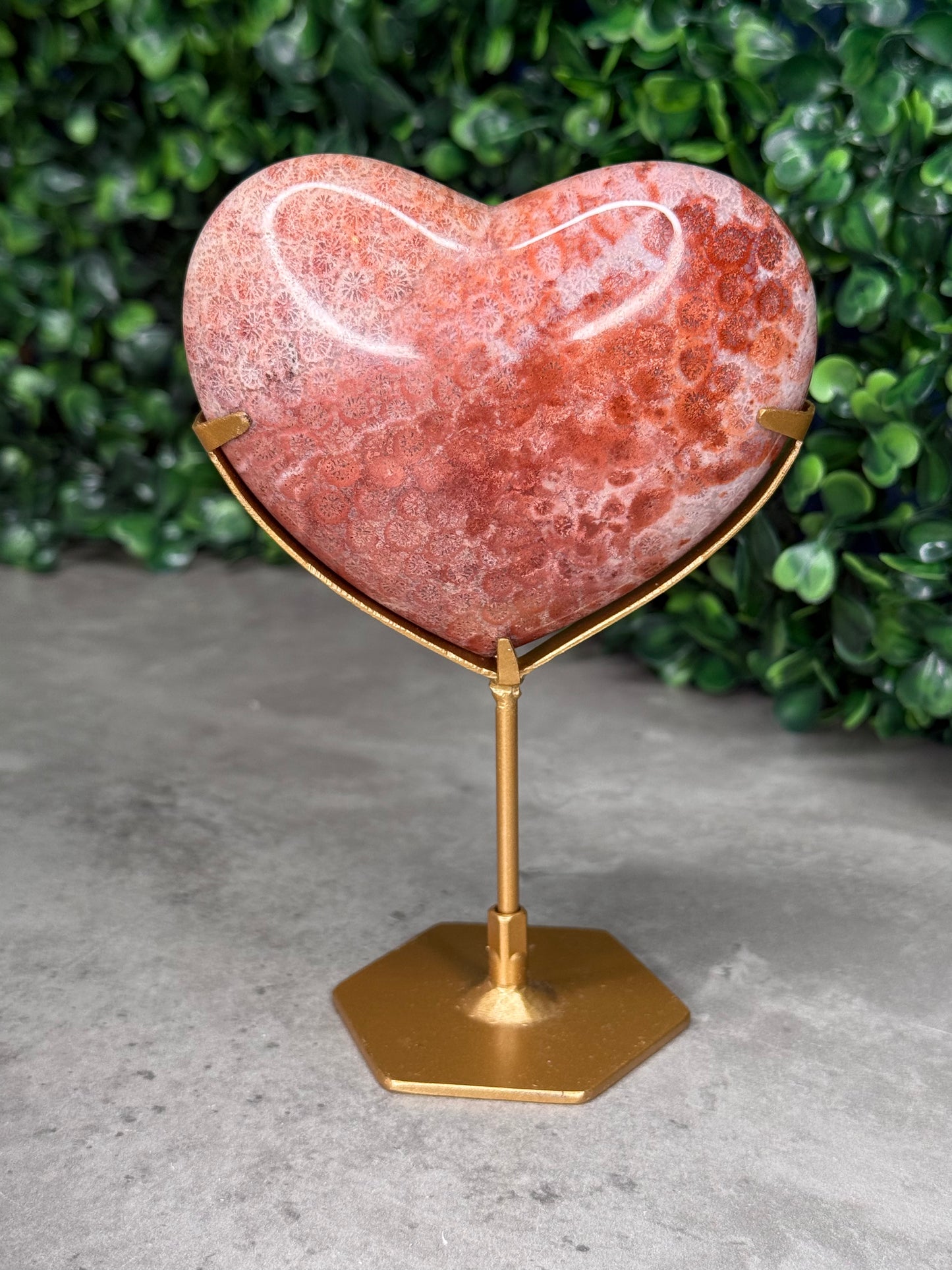 Pink Fossil Coral Crystal Heart - Indonesia