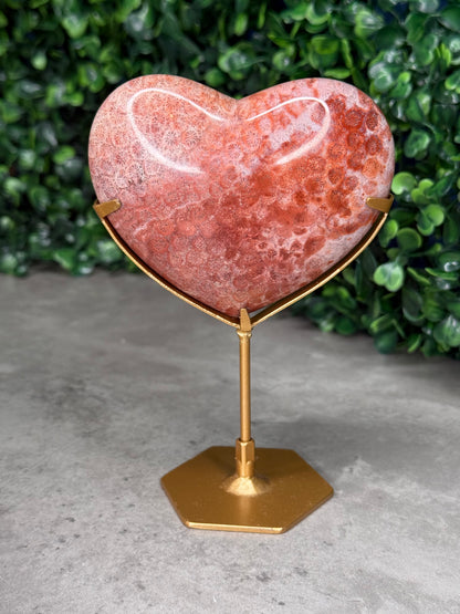 Pink Fossil Coral Crystal Heart - Indonesia