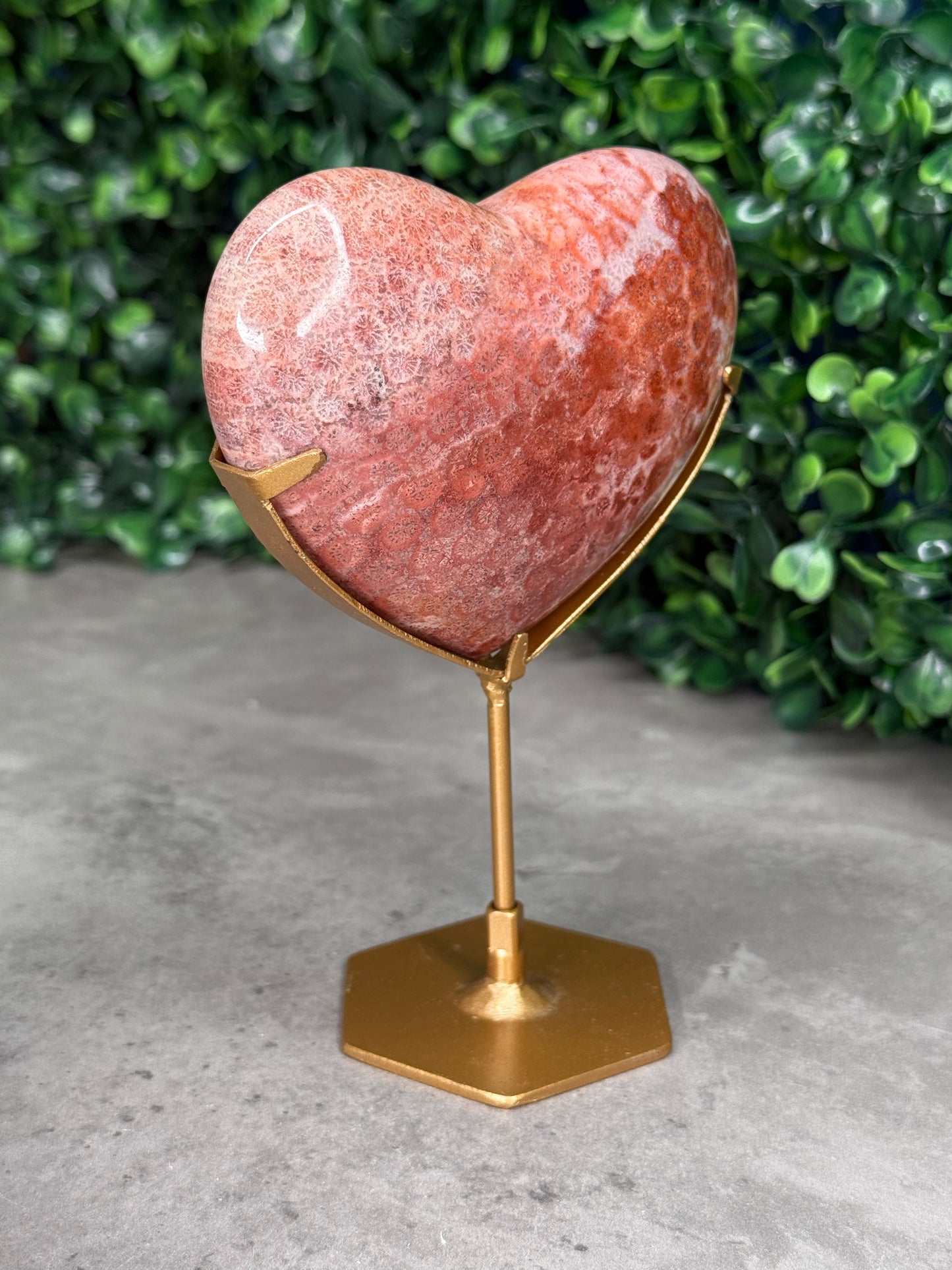 Pink Fossil Coral Crystal Heart - Indonesia