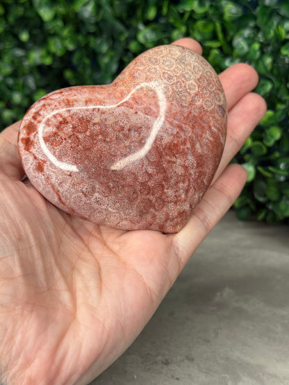 Pink Fossil Coral Crystal Heart - Indonesia