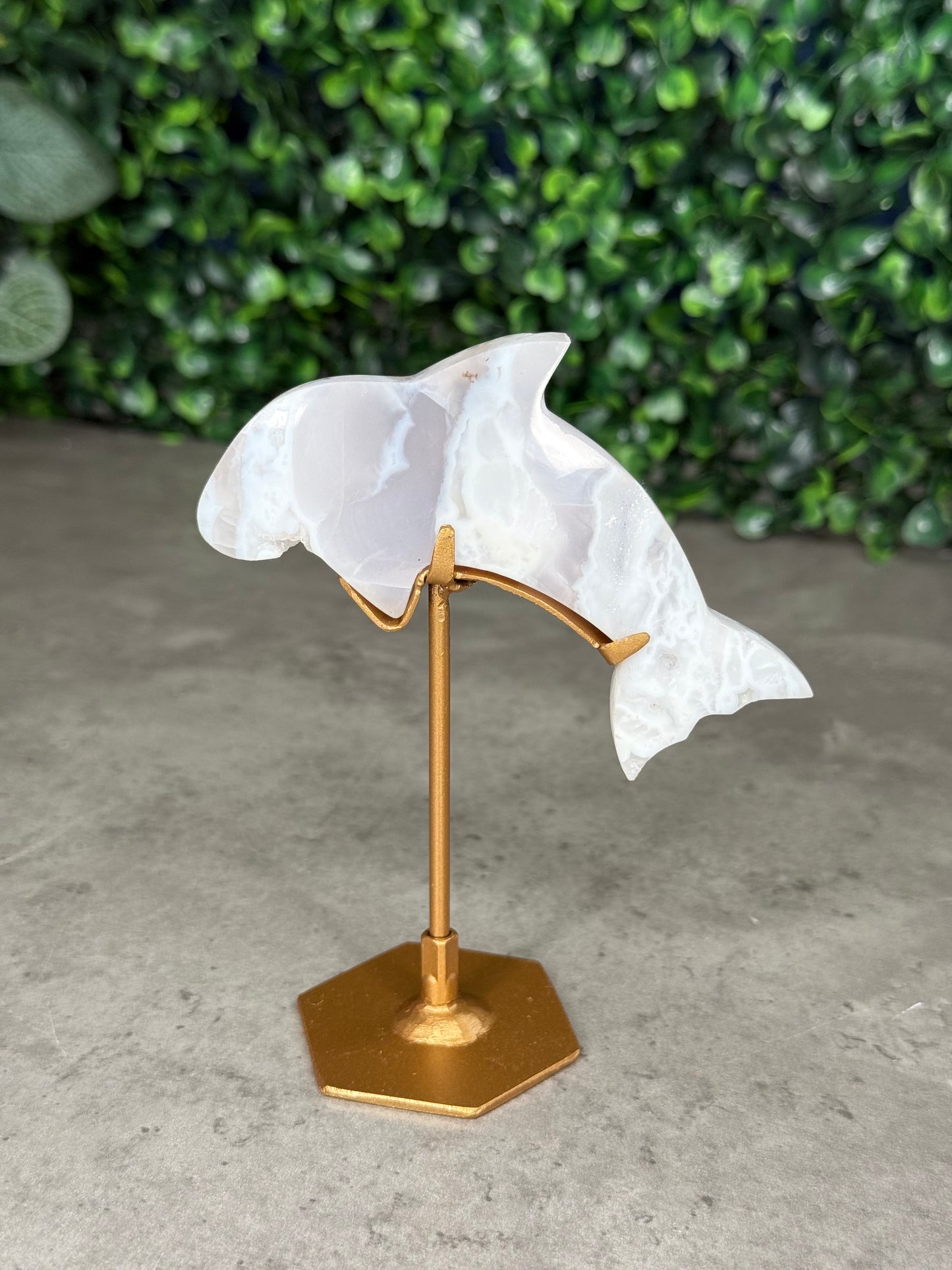 White Plume Agate Dolphin Crystal Carving on Gold Stand