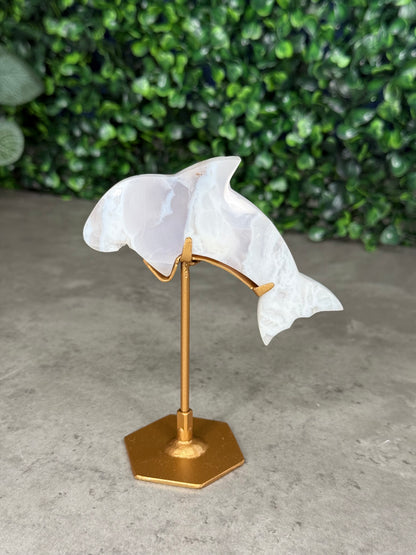 White Plume Agate Dolphin Crystal Carving on Gold Stand