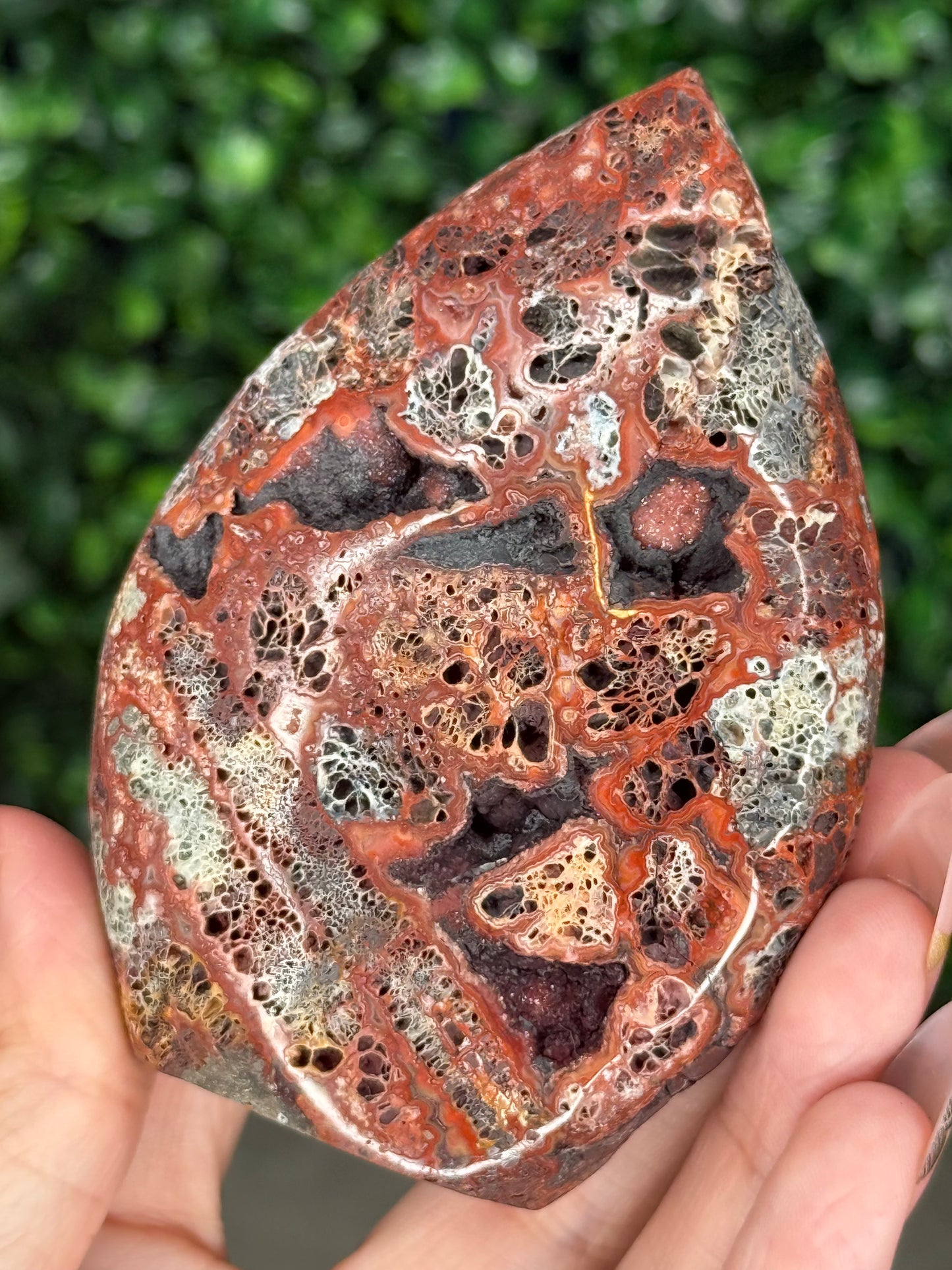 Red Marcasite Teardrop A