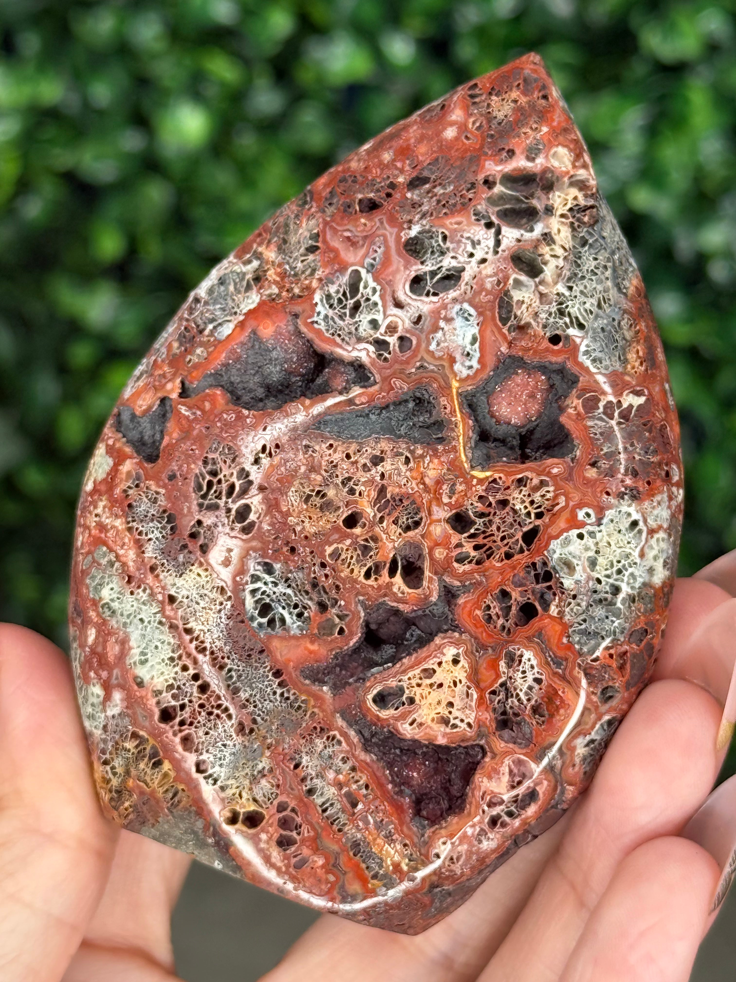Red Marcasite Teardrop A