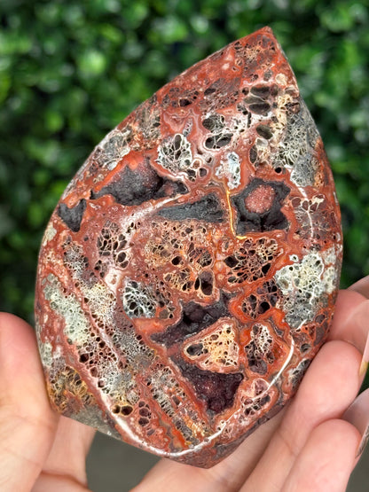 Red Marcasite Teardrop A