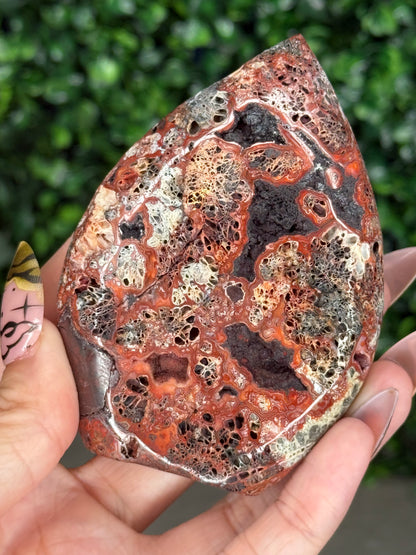 Red Marcasite Teardrop A