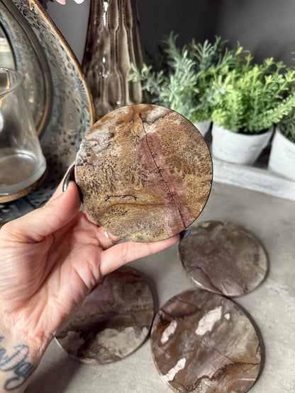 Picture Jasper Coaster Set: Polished Stone Coasters, Earth Tone Decor