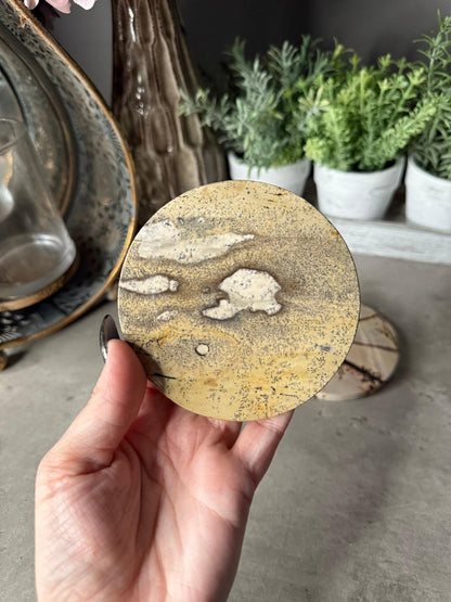 Picture Jasper Coaster Set Mineral Specimen,Energy Crystals,Home Decoration,Reiki Healing,Crystal Gifts