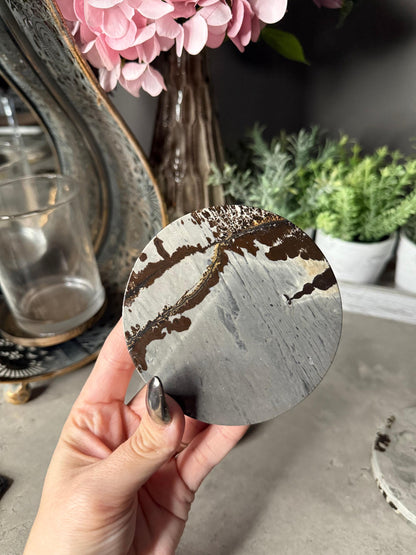 Picture Jasper Coasters Mineral Specimen,Energy Crystals,Home Decoration,Reiki Healing,Crystal Gifts