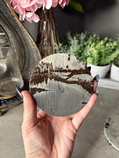 Picture Jasper Coasters Mineral Specimen,Energy Crystals,Home Decoration,Reiki Healing,Crystal Gifts