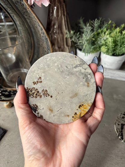 Picture Jasper Coasters Mineral Specimen,Energy Crystals,Home Decoration,Reiki Healing,Crystal Gifts