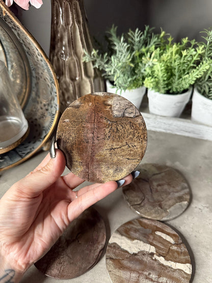 Picture Jasper Coaster Set: Polished Stone Coasters, Earth Tone Decor