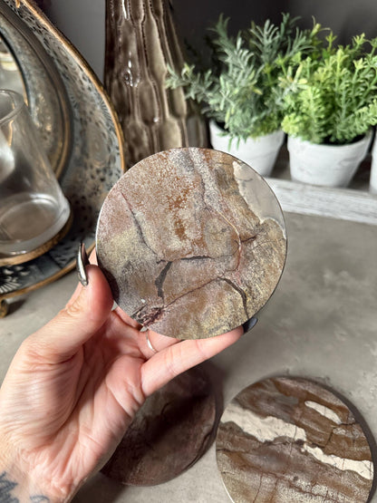 Picture Jasper Coaster Set: Polished Stone Coasters, Earth Tone Decor