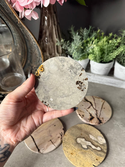 Picture Jasper Coaster Set Mineral Specimen,Energy Crystals,Home Decoration,Reiki Healing,Crystal Gifts