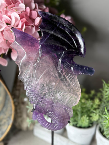 Statement Fluorite Dragon Carvings - Chipped wind Imperfect Stand