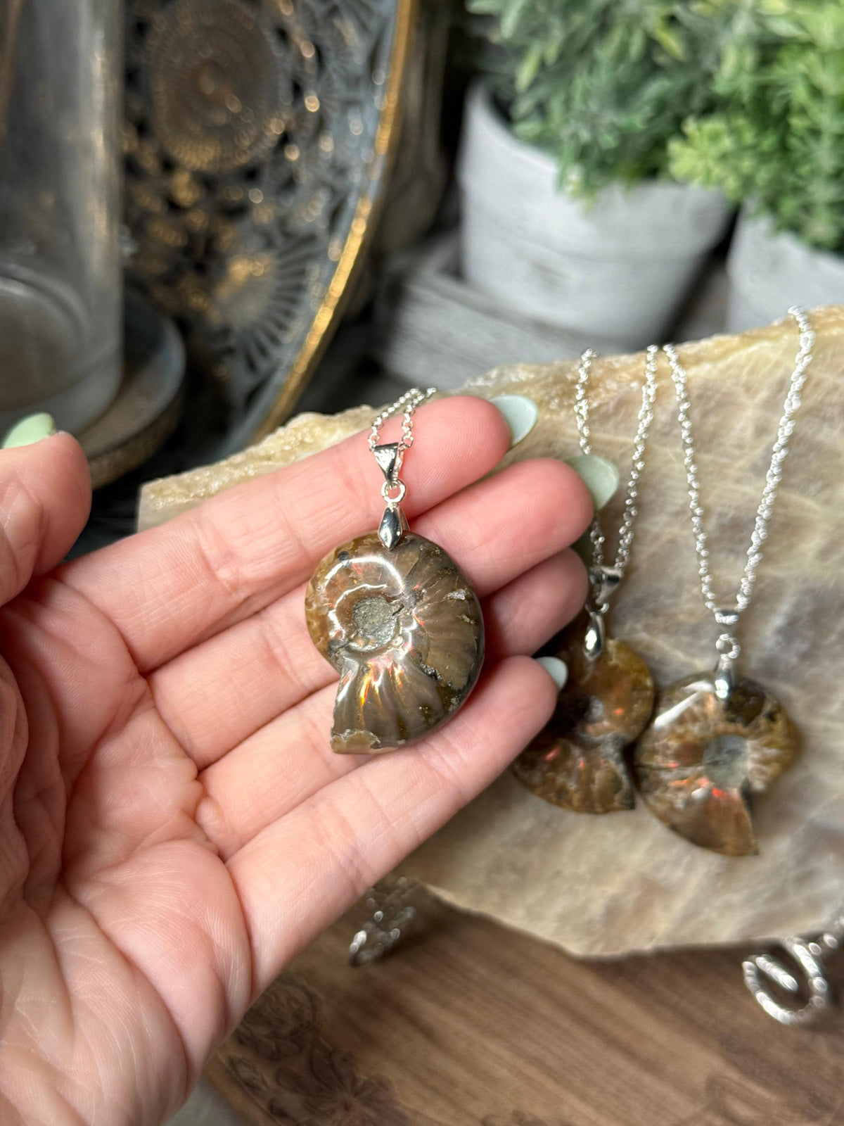 Ammonite Fossil Crystal Shell Pendant Necklaces