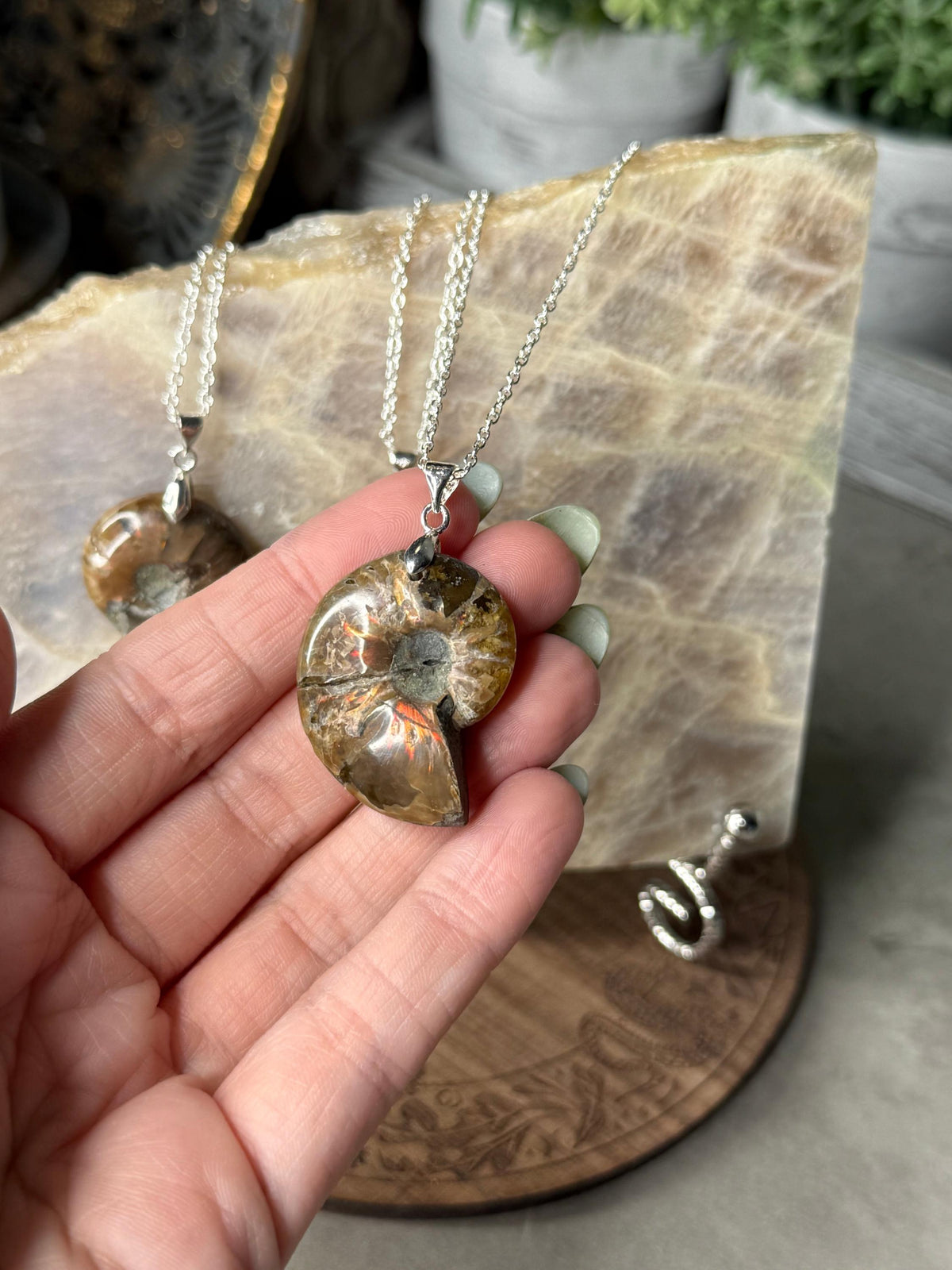 Ammonite Fossil Crystal Shell Pendant Necklaces