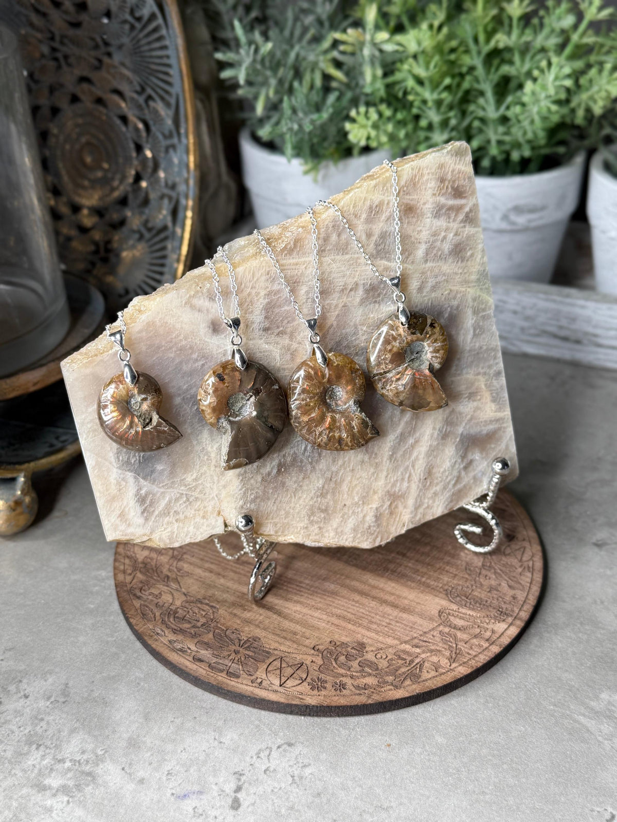 Ammonite Fossil Crystal Shell Pendant Necklaces