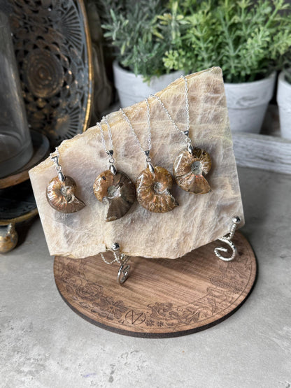Ammonite Fossil Crystal Shell Pendant Necklaces