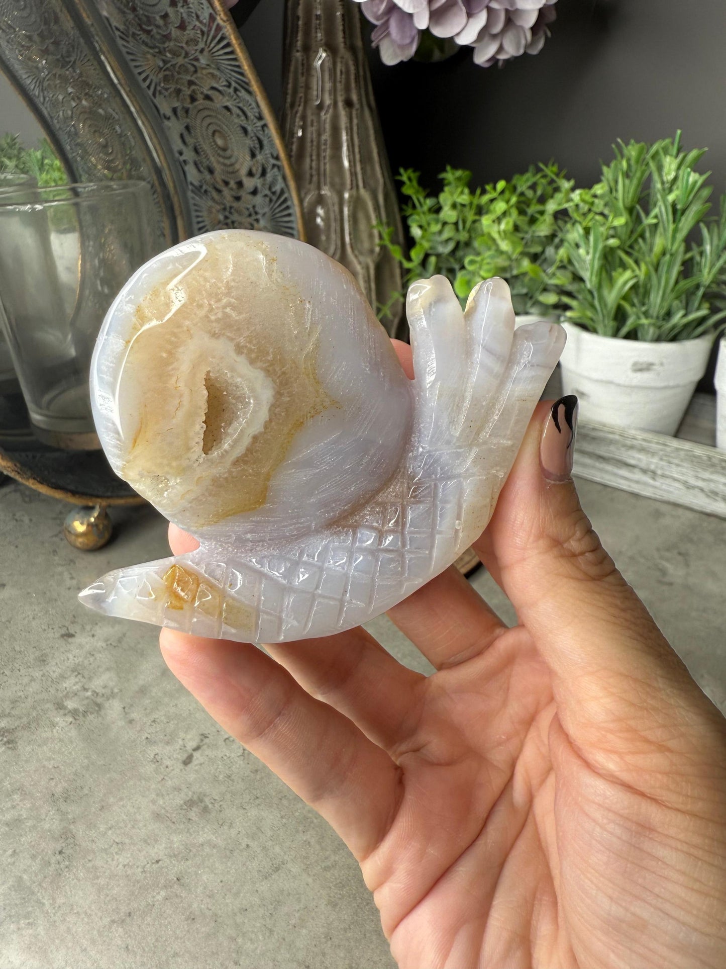 Druzy Agate Snails Crystal Carvings