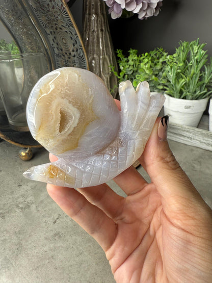 Druzy Agate Snails Crystal Carvings