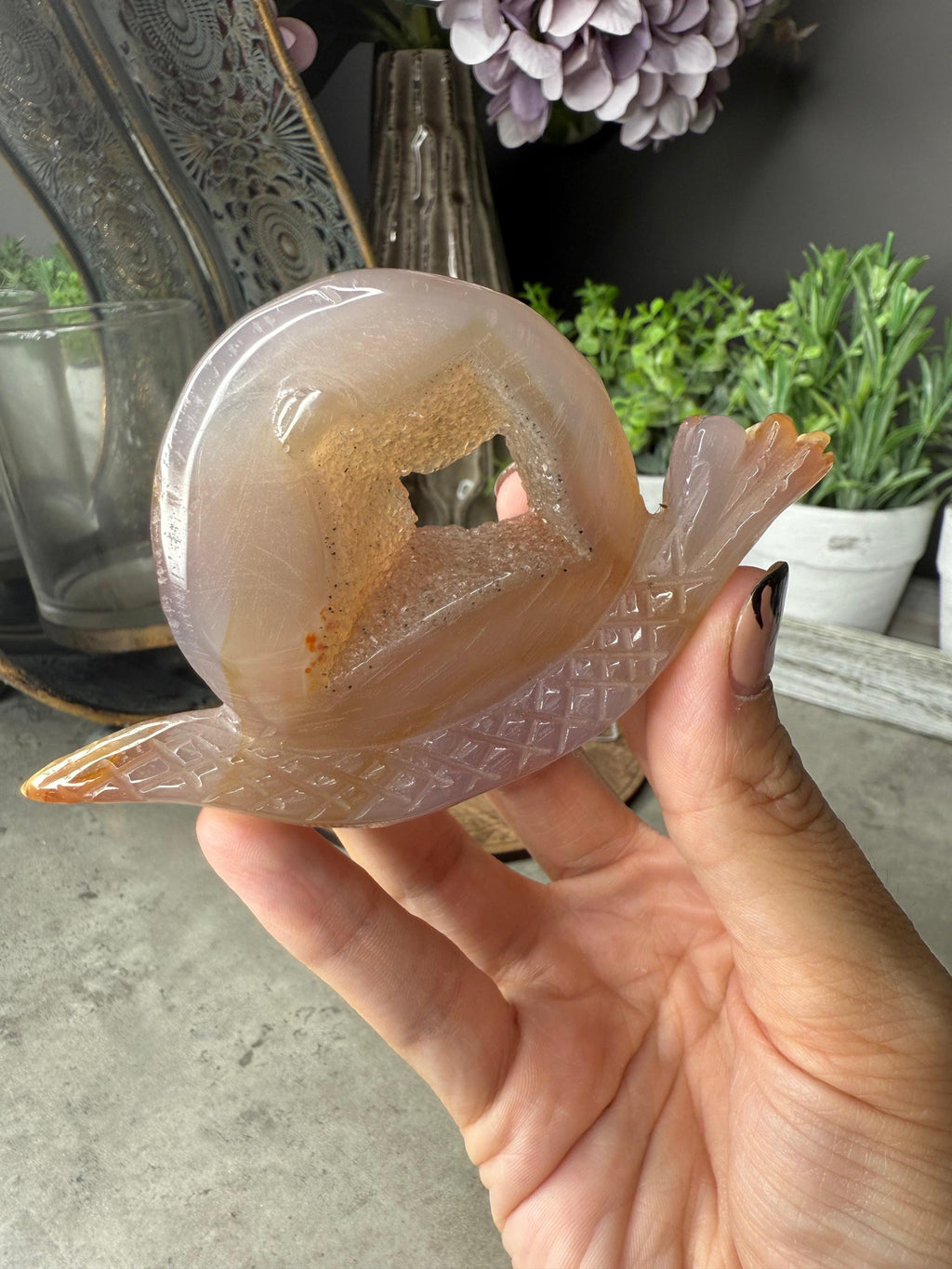 Druzy Agate Snails Crystal Carvings