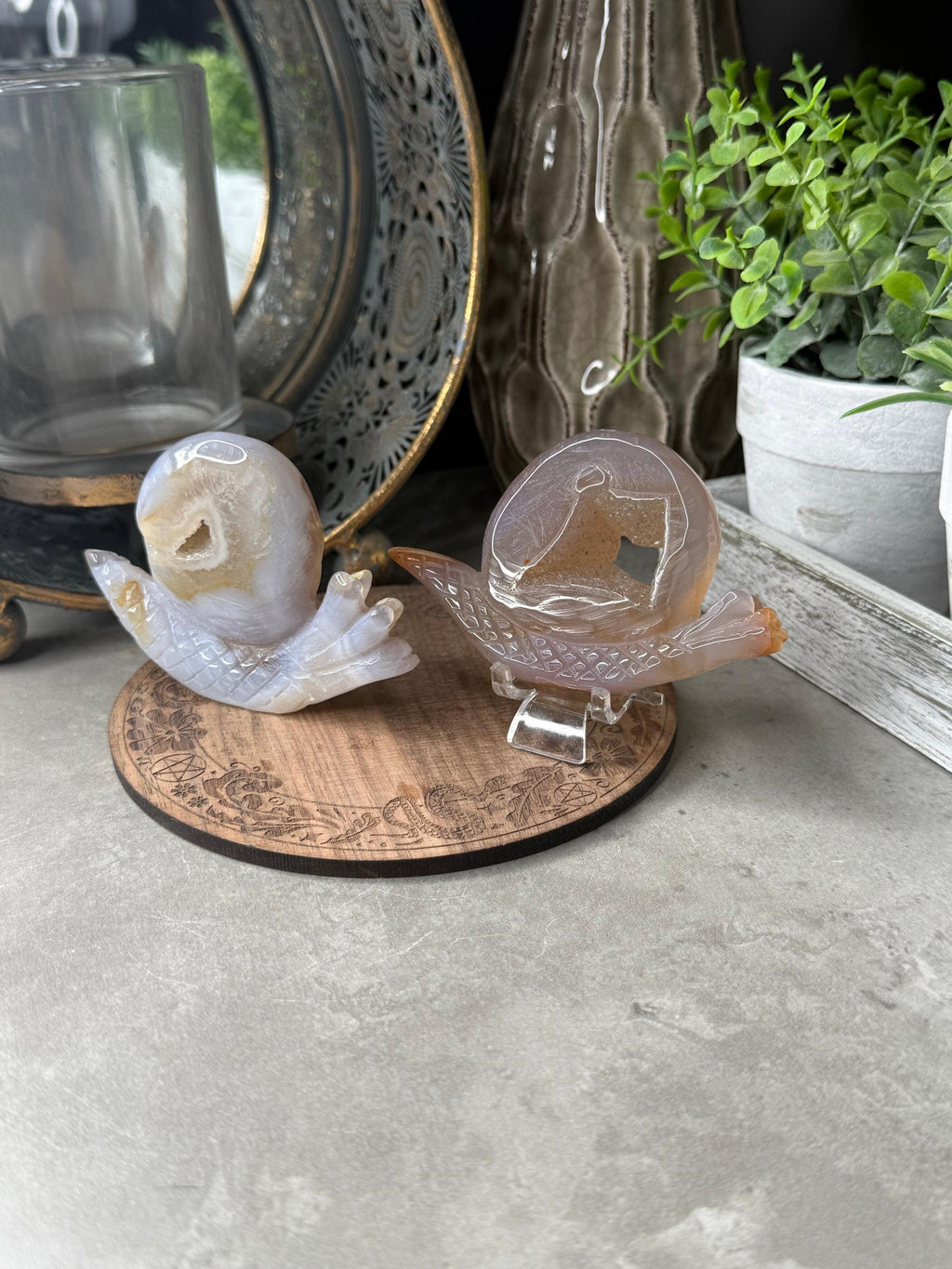 Druzy Agate Snails Crystal Carvings