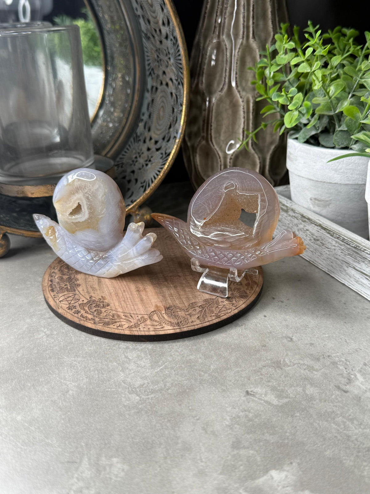 Druzy Agate Snails Crystal Carvings