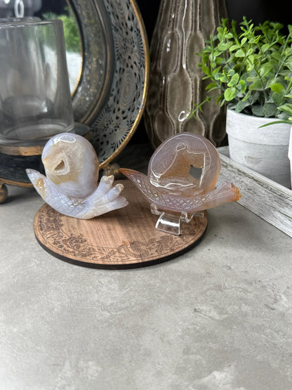 Druzy Agate Snails Crystal Carvings