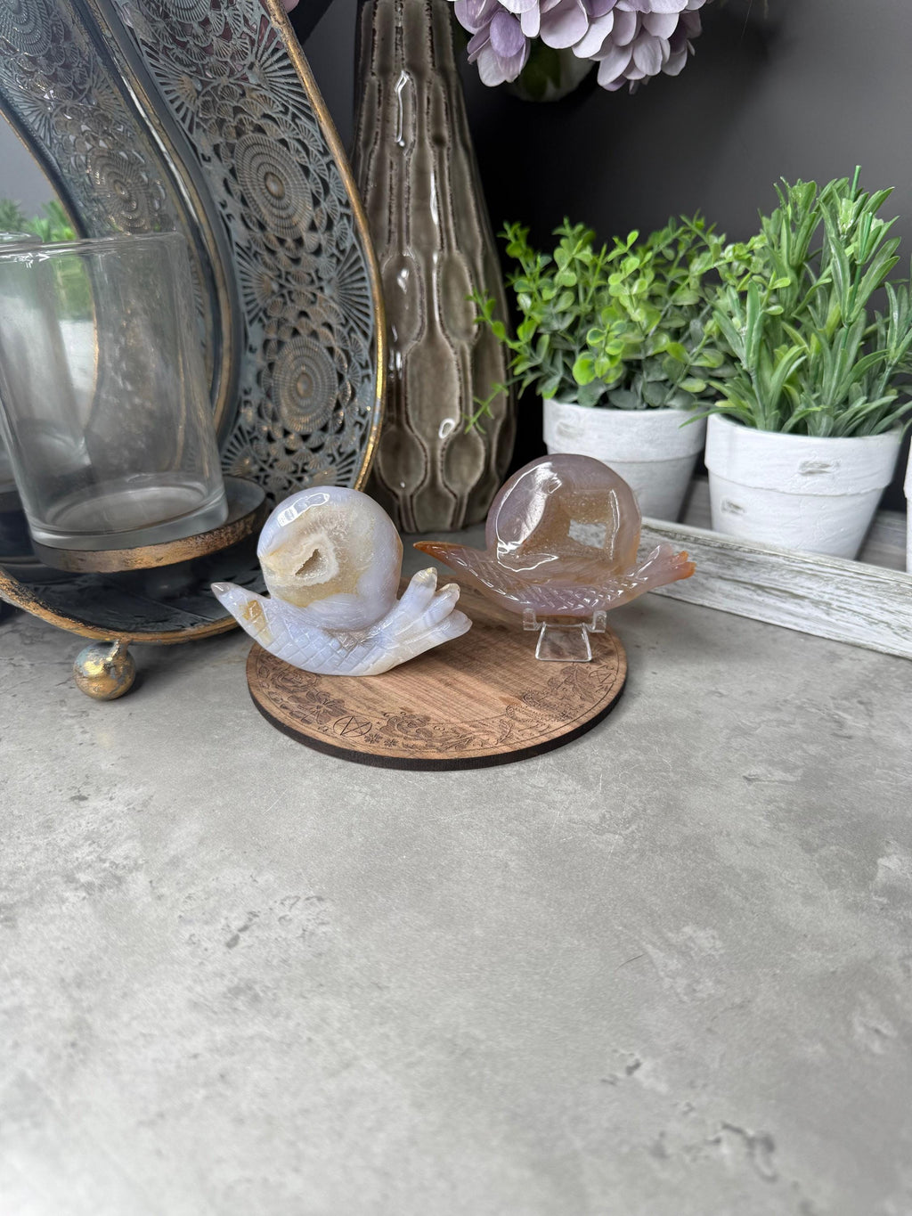 Druzy Agate Snails Crystal Carvings