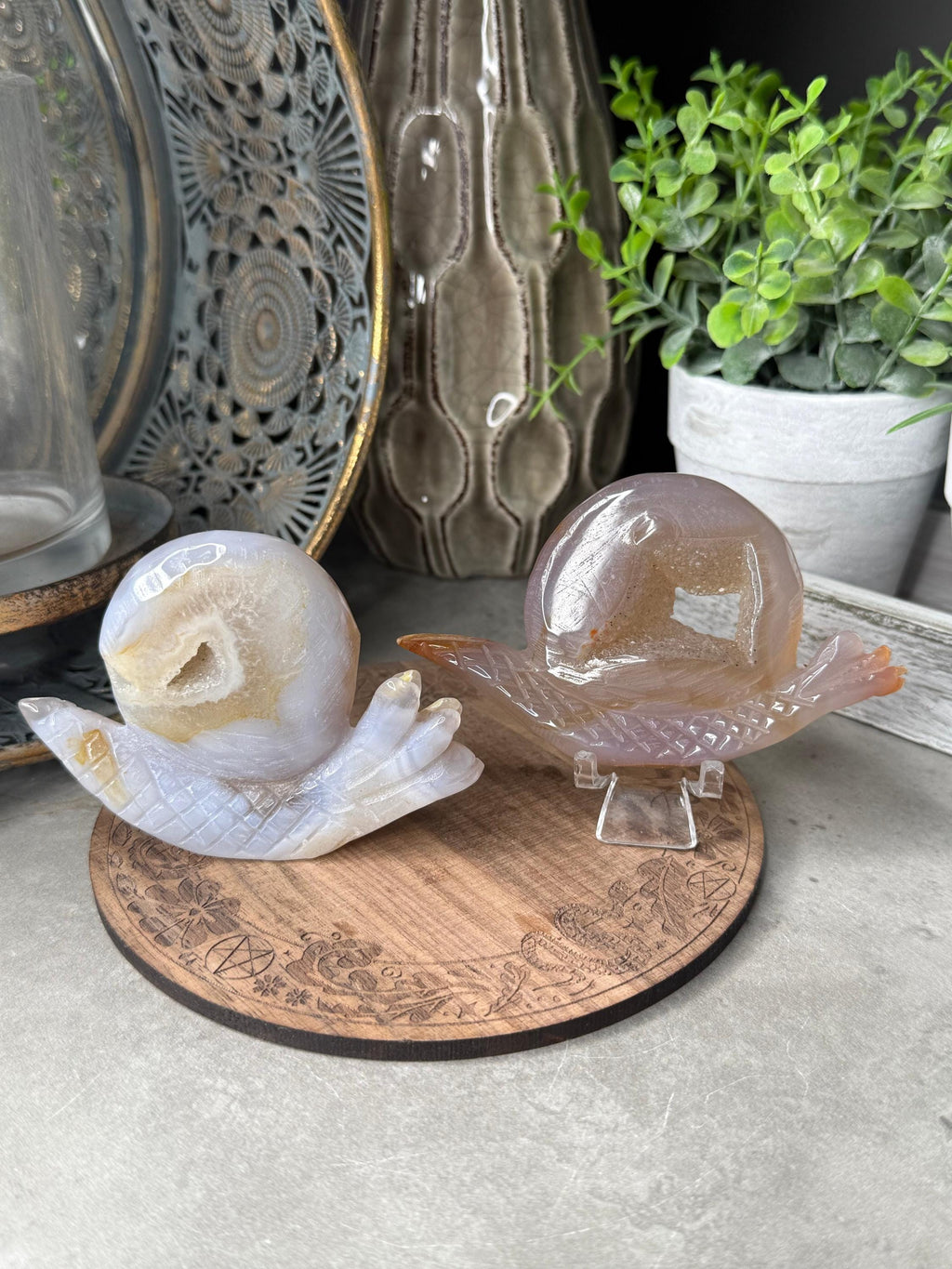 Druzy Agate Snails Crystal Carvings