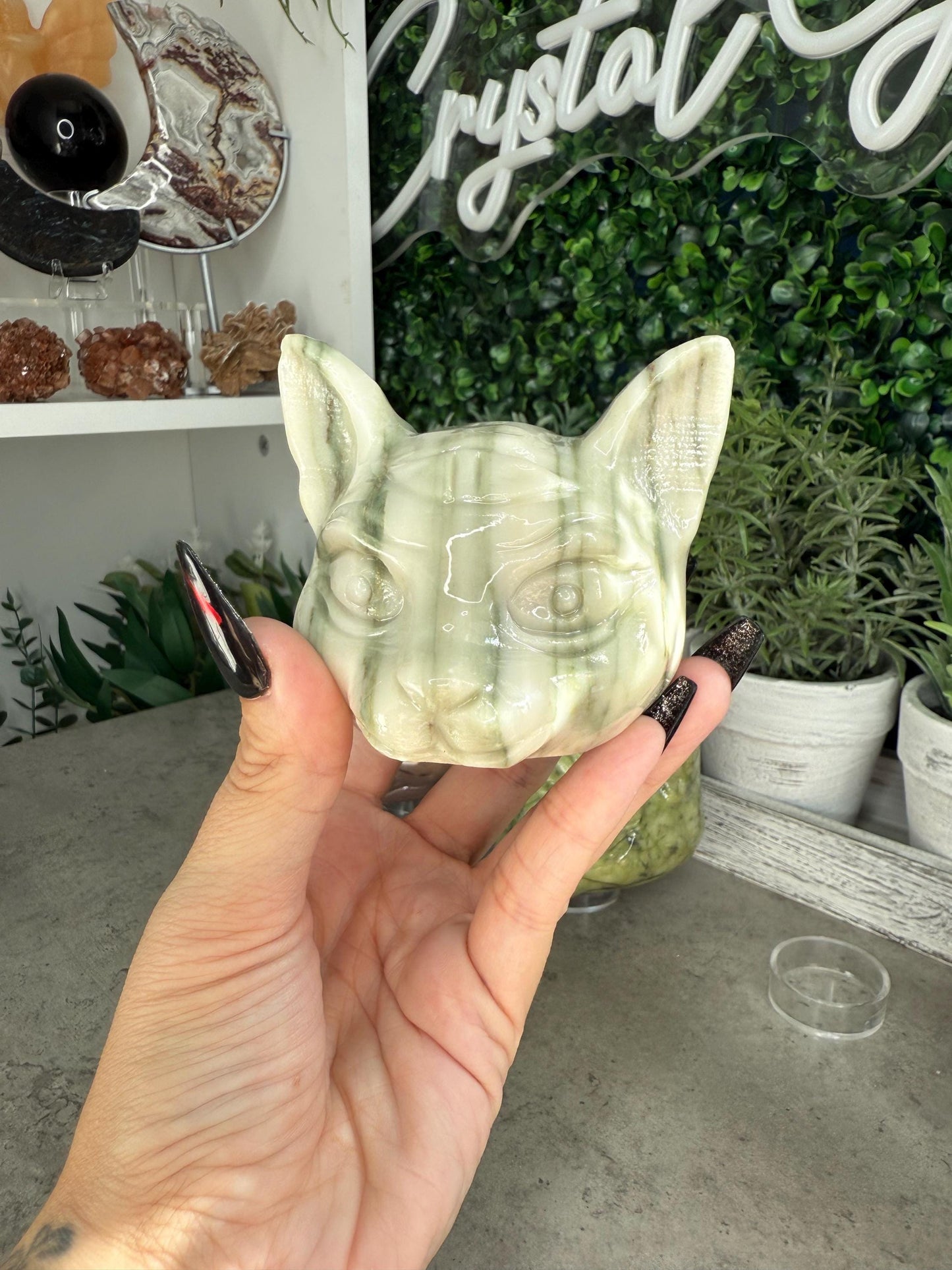 Three Eyed Cat Crystal Carvings - Multiple Crystal Options