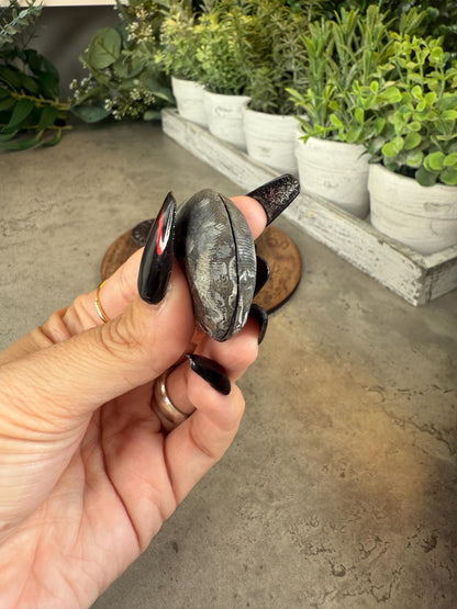 Black Ammonite Fossils - Full Shell or Pendant Option Crystals