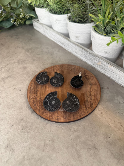 Black Ammonite Fossils - Full Shell or Pendant Option Crystals