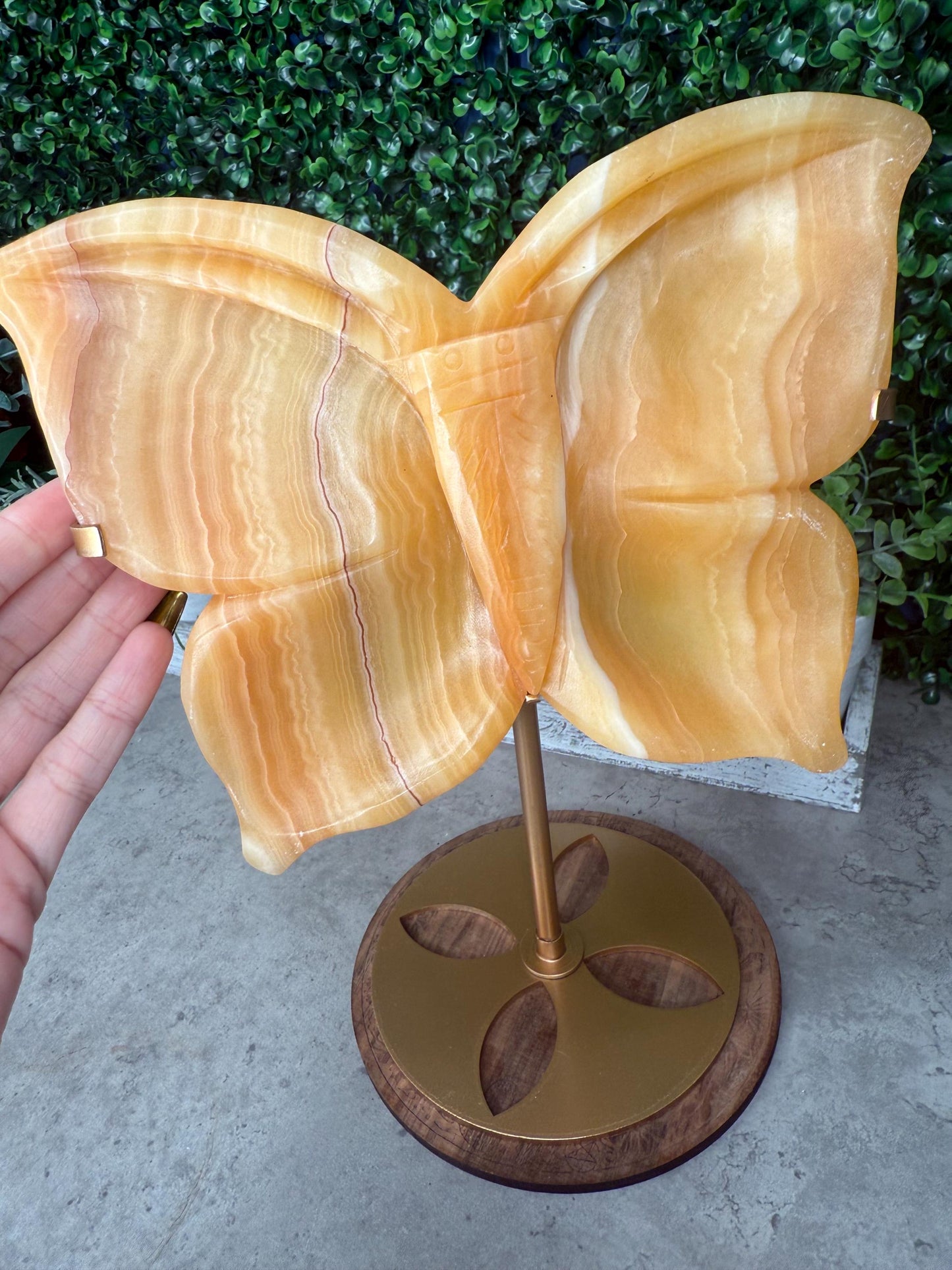 Calcite Butterfly Crystal Carving: Honey Orange Gemstone with Golden Stand