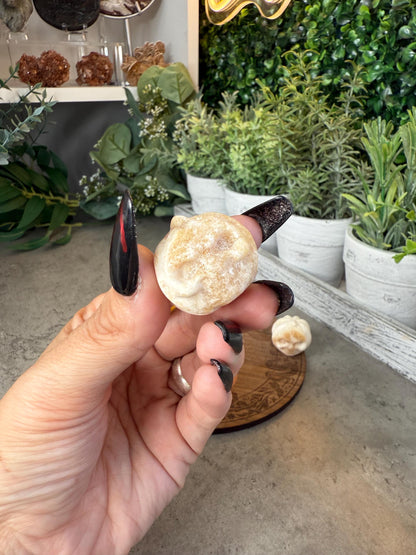 Jack-o-lantern Pumpkim Mini Crystal Carvings Fire Quartz, Golden Healer, and Yellow Calcite