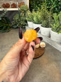 Jack-o-lantern Pumpkim Mini Crystal Carvings Fire Quartz, Golden Healer, and Yellow Calcite
