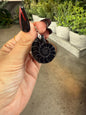 Black Ammonite Fossils - Full Shell or Pendant Option Crystals
