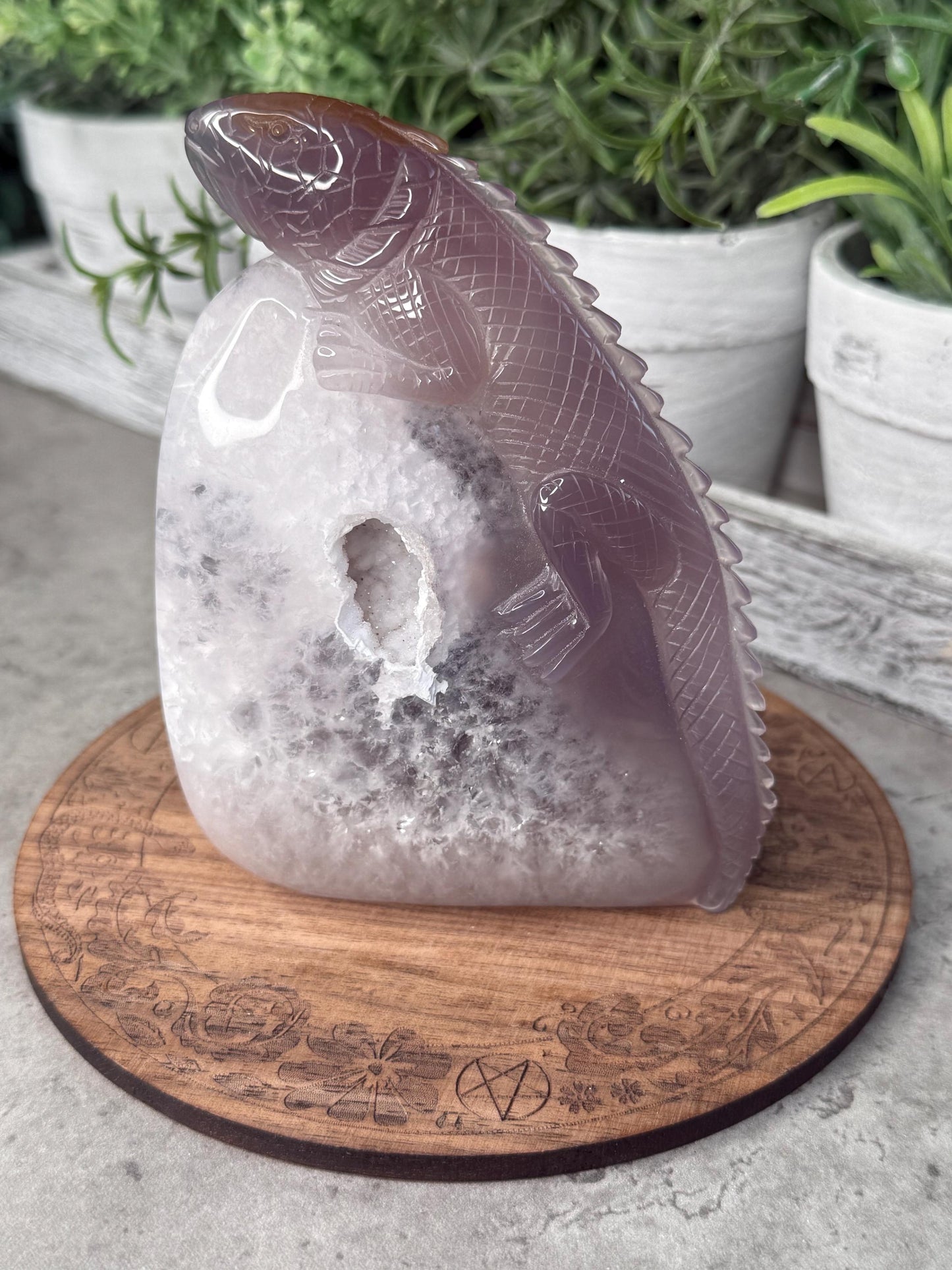 Druzy Agate Iguana Crystal Carving - 396g, 114mm Tall