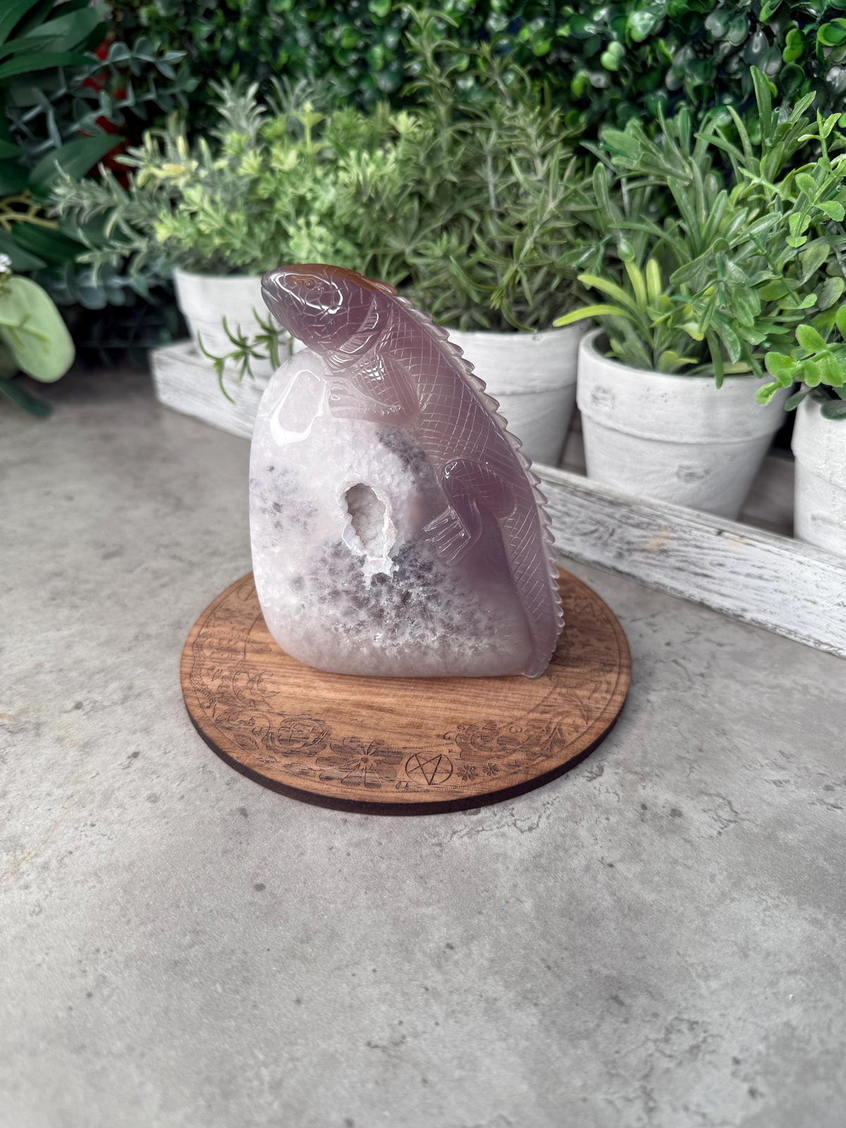 Druzy Agate Iguana Crystal Carving - 396g, 114mm Tall