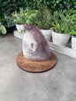 Druzy Agate Iguana Crystal Carving - 396g, 114mm Tall
